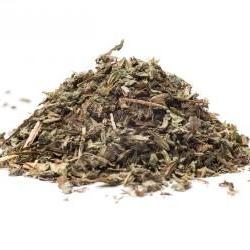MELISA LEKARSKA (Melissa officinalis) - ziołowa herbata
