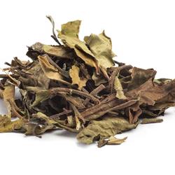 BAI MU TAN - biała herbata