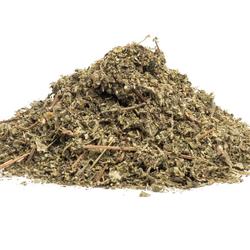 MUNA MUNA  (Minthostachys setosa)- zioło