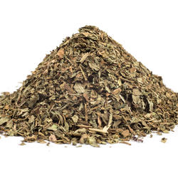 BAZYLIA NAĆ+LIŚĆ (Ocimum basilicum)