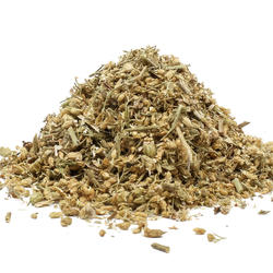KRAWNIK POSPOLITY  ( Achillea millefolium ) - zioło