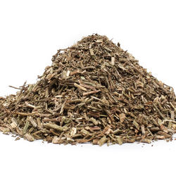 WERBENA NAĆ (Herba verbenae) -zioło