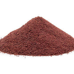 BURAK CZERWONY BIO  (BETA VULGARIS VAR. VULGARIS) - proszek