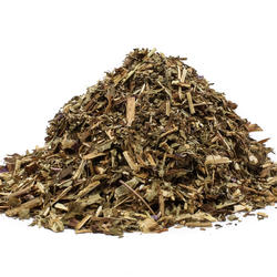 WIERZBOWNICA DROBNOKWIATOWA (EPILOBIUM PARVIFLORUM) - ZIOŁO