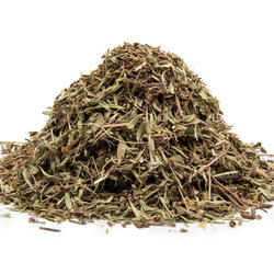 MACIERZANKA PIASKOWA NAĆ (Thymus serpyllum) - zioło