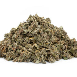 ŁOPIAN LIŚĆ (Arctium lappa) - zioło