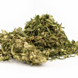 HERBATA Z KONOPI Z LIŚCI KONOPI FINOLA  - CBD 1837 mg/kg
