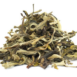 Fujian Fuding White Hair - zielona herbata