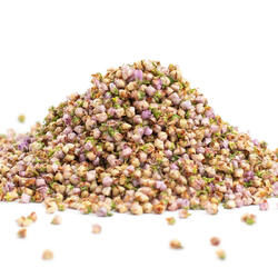 KWIAT WRZOSU (Calluna vulgaris flos) - ROŚLINA