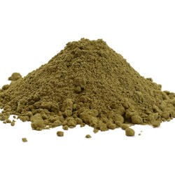 IMMUNO TANDEM, MATCHA I GRZYBY ADAPTOGENNE BIO