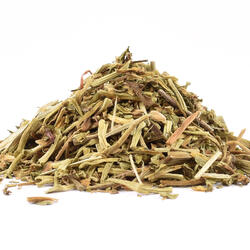 GOTU KOLA, WĄKROTA - zioło