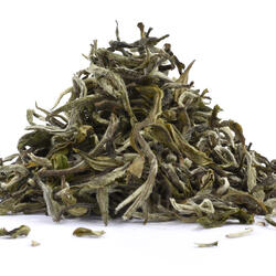 NEPAL WHITE PRAKASH BIO – HERBATA BIAŁA 